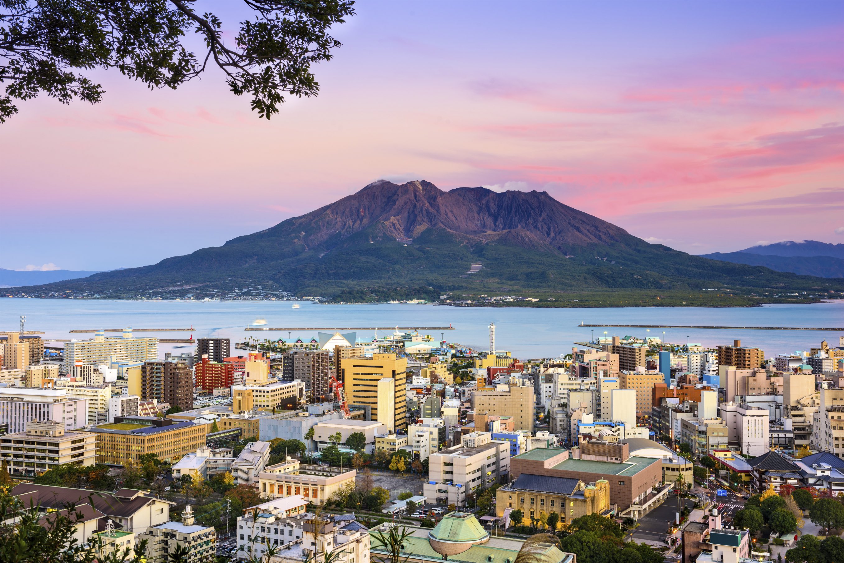 Kagoshima - Nông nghiệp là thế mạnh của tỉnh